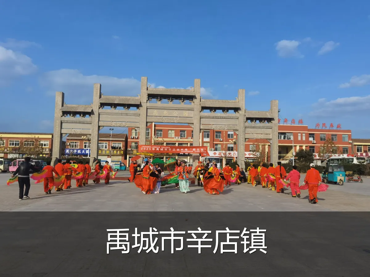禹城市辛店镇
