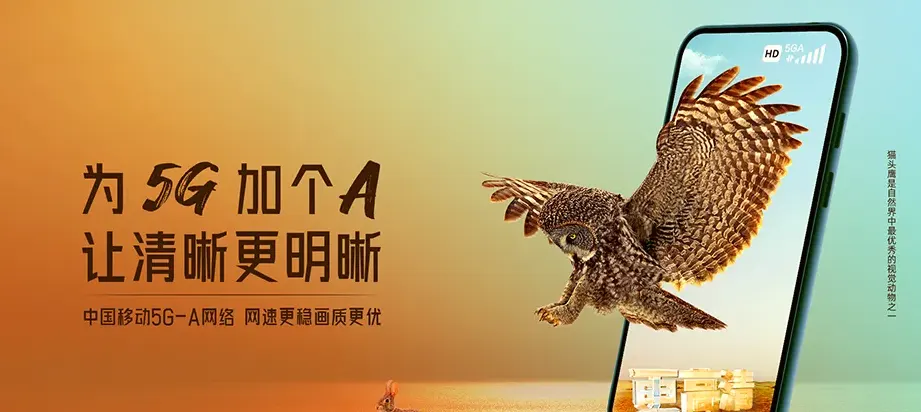 禹城市禹城市辛店镇 移动宽带